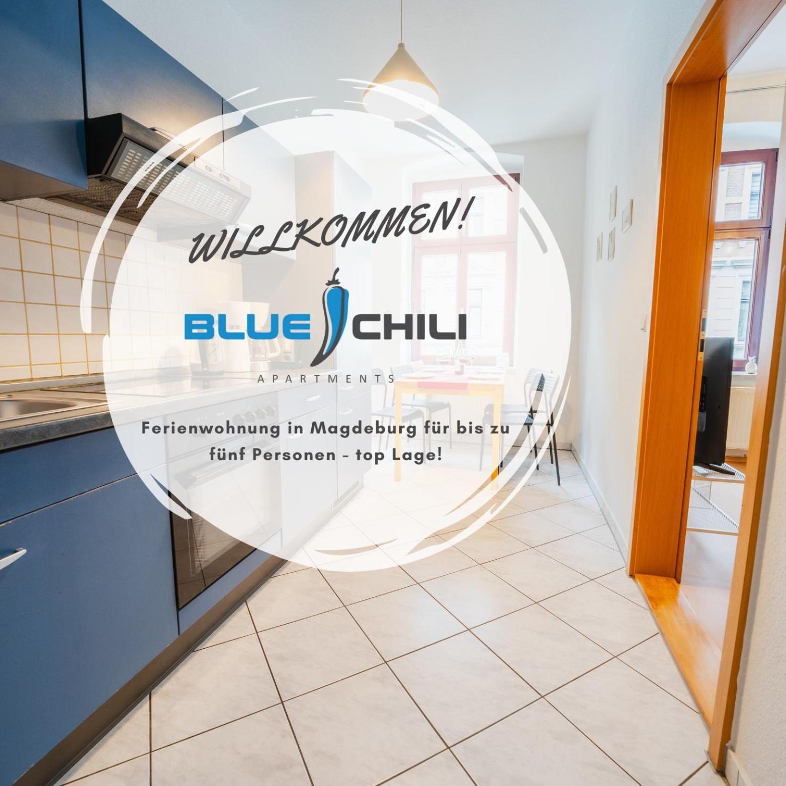 Blue Chili 08 - Magdeburg 2-Zimmer Altbau, Wi-Fi, 5 Pax Exteriér fotografie